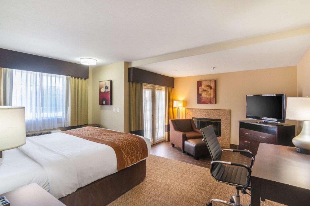 Comfort Inn & Suites Image 10