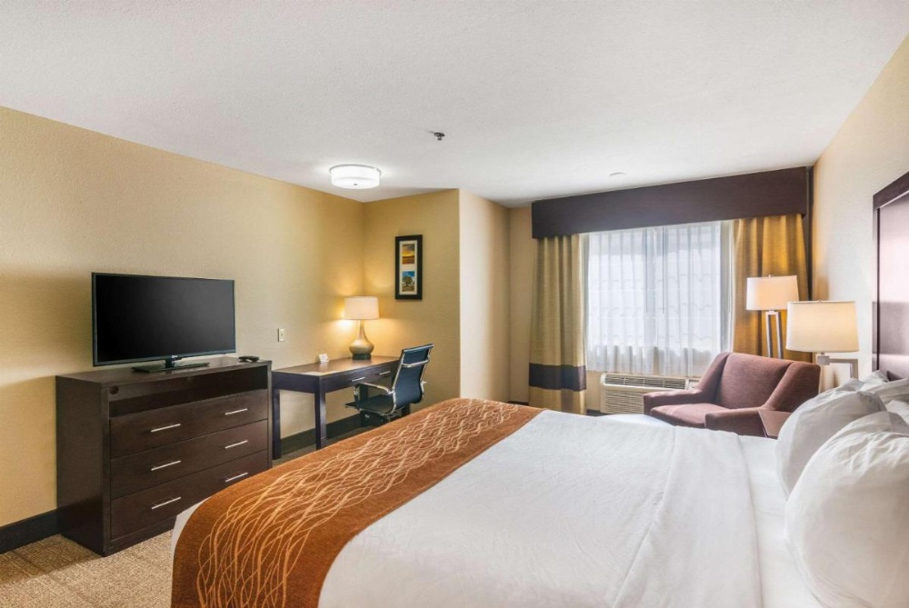 Comfort Inn & Suites Image 14