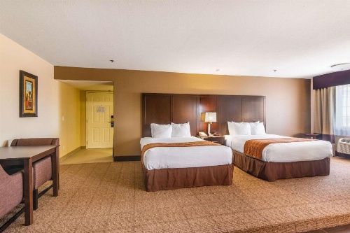 Comfort Inn & Suites image 7